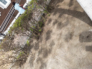 國內廁拍大神路邊尾隨進入公共女廁偷拍各式美女少婦如廁 有個花布鞋妹子的白虎逼逼不錯很幹凈 1080P高清原版