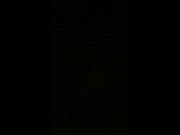 精品推薦 出租屋趴窗戶邊偷窺雪白肌膚堅挺美乳打工妹子衛生間裏沐浴更衣 逼毛毛濃密誘惑十足 720P原版高清