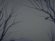 [FOCS-202] 結婚式前夜NTR 大嫌いな元カレに脅されて… 眠る婚約者の隣で強引に生チ●ポを突っ込まれて快楽に溺れた花嫁 美波汐里 - 1of5