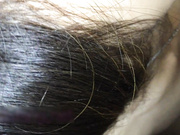 性感長發美女白領和男友假期異地旅遊酒店激情啪啪自拍視頻分手後不慎流出 表面淑女清純床上騷勁十足 國語對白～1080P高清