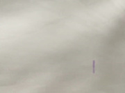 周末酒店開房偷情私會苗條身材良家寂寞少婦啪啪打炮 主動張開雙腿給操幹的高潮不斷 露臉刺激 國語1080P高清