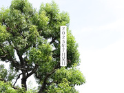 SDNM-530 49歳 初めて開花する「女の悦び」女性用風俗で優しく愛撫されてイク 年下男子と性感開発 栗原早苗 - 1of5