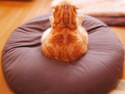 极品女友，帮我吹箫