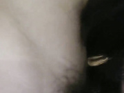 宾馆淫乱4P现在粉丝的福利真不错礼物刷的多可以约炮女主播啪啪对白精彩