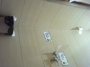 尿尿撅着屁股给你看