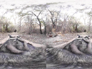 Babe is getting pounded at the clothes store