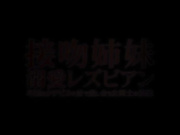 [HAVD-953]  接吻姉妹 溺愛レズビアン 卑猥なクチビルと舌で愛し合う女同士の快楽