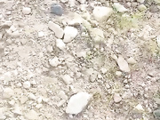 东北大哥带24岁失恋女同事野钓散心妹子喝醉了车里休息大哥只好车里草“ 尸 ”