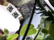 清新自然房不太持久的小伙提前开好房等待苗条年轻长发妹子来打炮听对白貌似是援交妹操完穿衣服就走