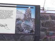 ATKGirlfriends.18.11.17.Rosalyn.Sphinx