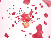 DadCrush.18.12.02.Cecilia.Lion.A.Flashy.Entrance