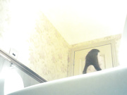 精品厕拍打扮时髦的KTV坐台公主尿尿 人美逼更美