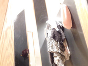 都市丽人精品女装店试衣间偷拍碎花短裙妹子试穿胸罩,好极品的一对竹笋奶