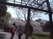 與超下流美人熟女懷孕性愛！現役模特兒秘密交際性愛流出