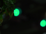 [ADN-149] 在丈夫眼前被侵犯 深夜的情事 黒木れん - 1of5