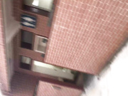 2019最新流出-國內廁拍大神某商業街路邊公廁近距離拍攝各式漂亮妹子如廁 4K高清無水印原版