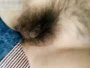 夜愿-第三季之一手调教的清纯学妹由处女变淫娃到彻底的堕落-【全网首发】三次操瘫美女,说：不要操我,主人快停下!全程国语