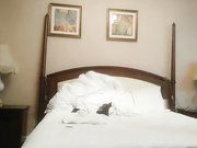 网约长发披肩御姐型美女很骚很主动非常投入