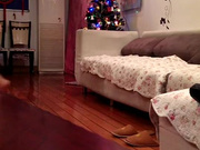 绝世大骚逼被洋屌操时刚好快递到，让快递哥观战，国话对白