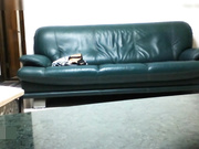 獨家推薦 趁老婆不在家約了個高挑兼職妹子 客廳沙發上各種體位幹得浪叫連連 國語對白～720P高清