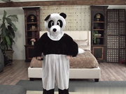 妮可·安妮斯顿和卢卡斯·弗罗斯特熊猫风格