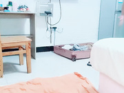 白虎黑丝楠楠跳蛋玩弄后入抽插淫声荡语乖巧听话